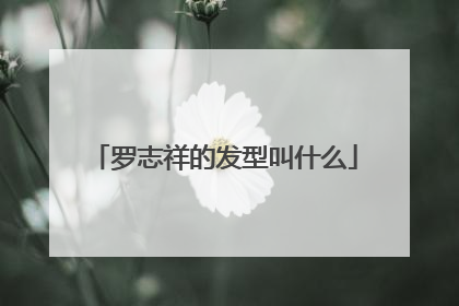 罗志祥的发型叫什么