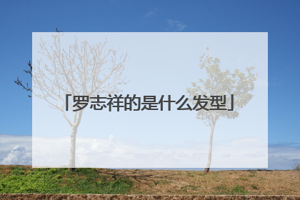 罗志祥的是什么发型