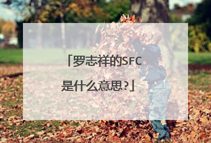 罗志祥的SFC是什么意思?