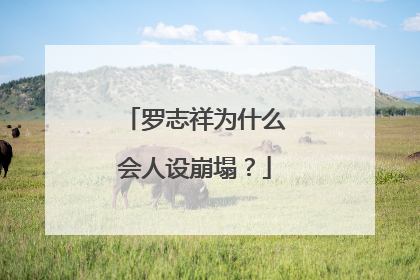 罗志祥为什么会人设崩塌？