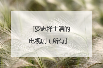 罗志祥主演的电视剧(所有