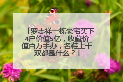 罗志祥一栋豪宅买下4户价值5亿,收藏价值百万手办,名鞋上千双都是什么?