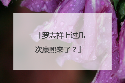 罗志祥上过几次康熙来了?