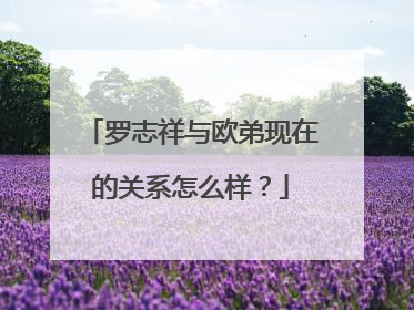 罗志祥与欧弟现在的关系怎么样?