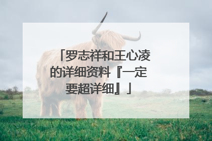 罗志祥和王心凌的详细资料『一定要超详细』
