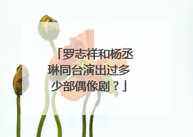 罗志祥和杨丞琳同台演出过多少部偶像剧？