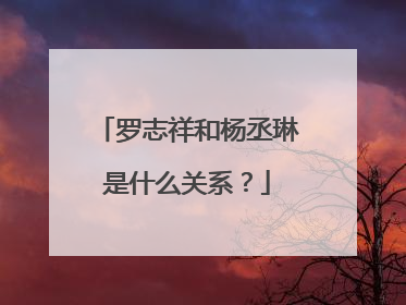 罗志祥和杨丞琳是什么关系?