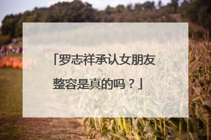 罗志祥承认女朋友整容是真的吗?