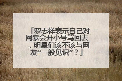 罗志祥表示自己对网暴会开小号骂回去,明星们该不该与网友“一般见识”?