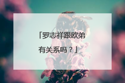 罗志祥跟欧弟有关系吗？