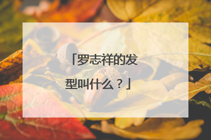罗志祥的发型叫什么？