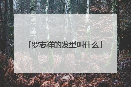 罗志祥的发型叫什么