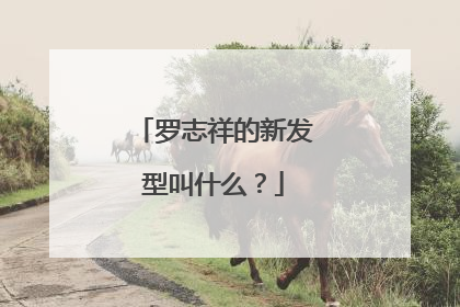 罗志祥的新发型叫什么？
