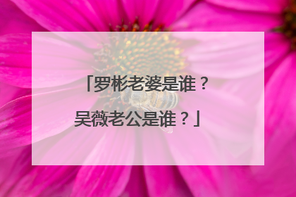 罗彬老婆是谁?吴薇老公是谁?
