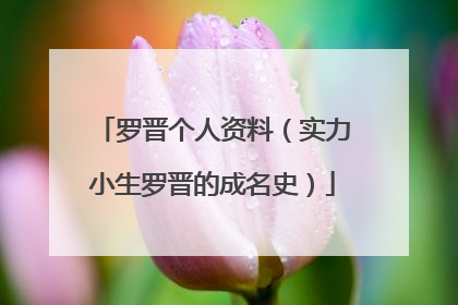 罗晋个人资料（实力小生罗晋的成名史）