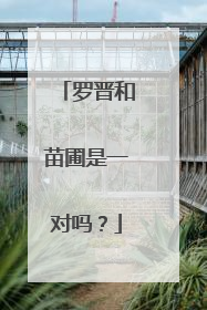 罗晋和苗圃是一对吗？