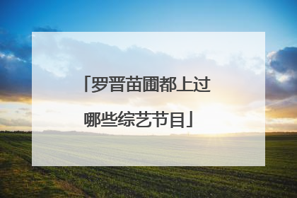 罗晋苗圃都上过哪些综艺节目