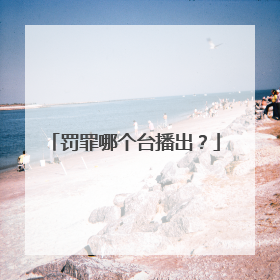 罚罪哪个台播出?