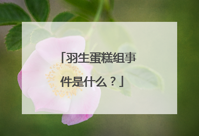 羽生蛋糕组事件是什么?