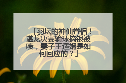 羽坛的神仙眷侣！谌龙决赛输球摘银被喷，妻子王适娴是如何回应的？
