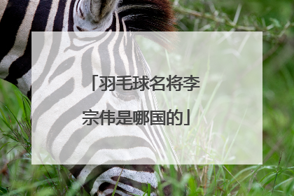 羽毛球名将李宗伟是哪国的