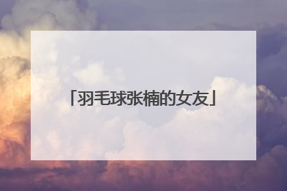 羽毛球张楠的女友