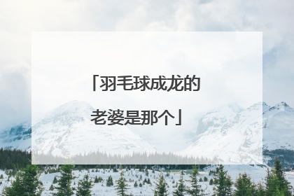 羽毛球成龙的老婆是那个