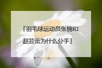 羽毛球运动员张楠和赵芸蕾为什么分手