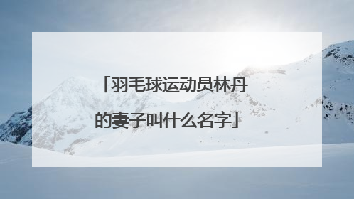 羽毛球运动员林丹的妻子叫什么名字