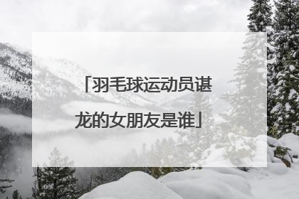 羽毛球运动员谌龙的女朋友是谁