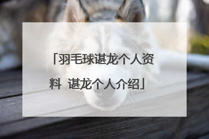 羽毛球谌龙个人资料 谌龙个人介绍