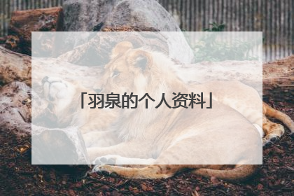 羽泉的个人资料