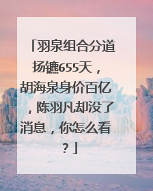 羽泉组合分道扬镳655天，胡海泉身价百亿，陈羽凡却没了消息，你怎么看？