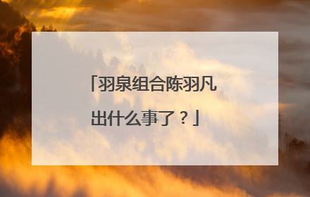 羽泉组合陈羽凡出什么事了?