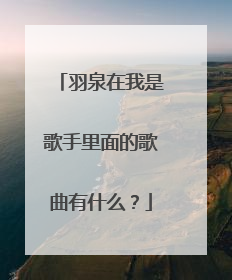 羽泉在我是歌手里面的歌曲有什么?