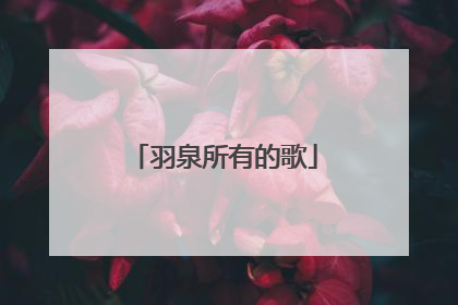 羽泉所有的歌