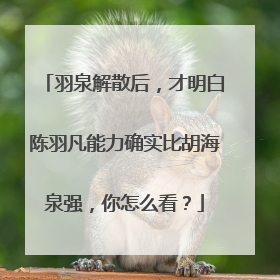 羽泉解散后，才明白陈羽凡能力确实比胡海泉强，你怎么看？