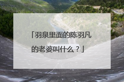 羽泉里面的陈羽凡的老婆叫什么？