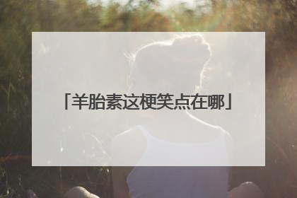 羊胎素这梗笑点在哪