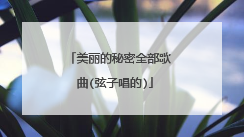 美丽的秘密全部歌曲(弦子唱的)