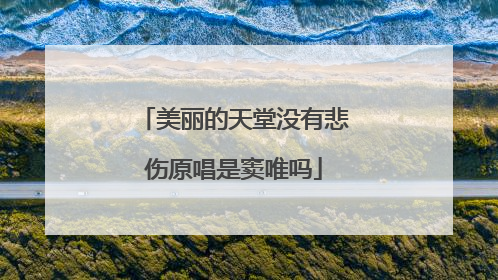 美丽的天堂没有悲伤原唱是窦唯吗