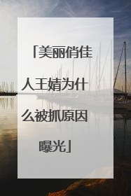 美丽俏佳人王婧为什么被抓原因曝光