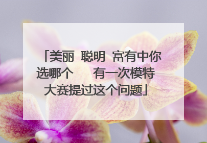 美丽 聪明 富有中你选哪个 有一次模特大赛提过这个问题