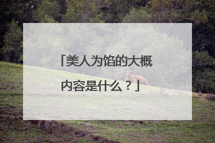 美人为馅的大概内容是什么?