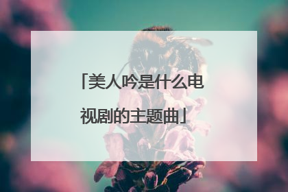 美人吟是什么电视剧的主题曲