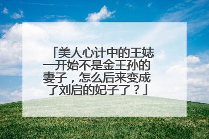 美人心计中的王娡一开始不是金王孙的妻子，怎么后来变成了刘启的妃子了？