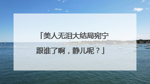 美人无泪大结局宛宁跟谁了啊,静儿呢?