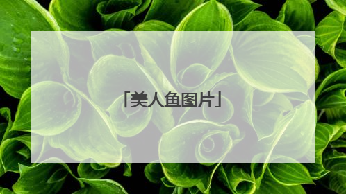 美人鱼图片