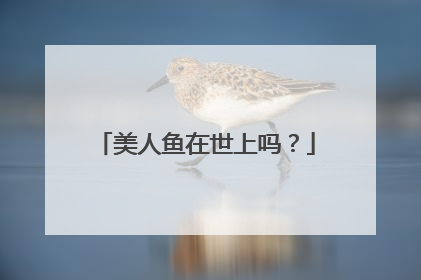 美人鱼在世上吗？