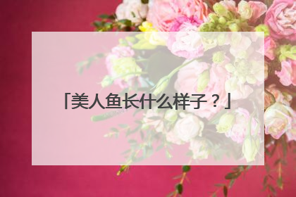 美人鱼长什么样子?